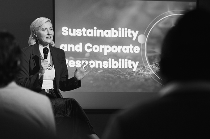 Evaluating a Corporate Sustainability Strategy