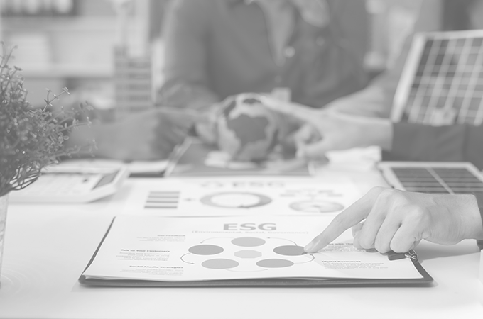 Analyzing Sustainability in Organizations