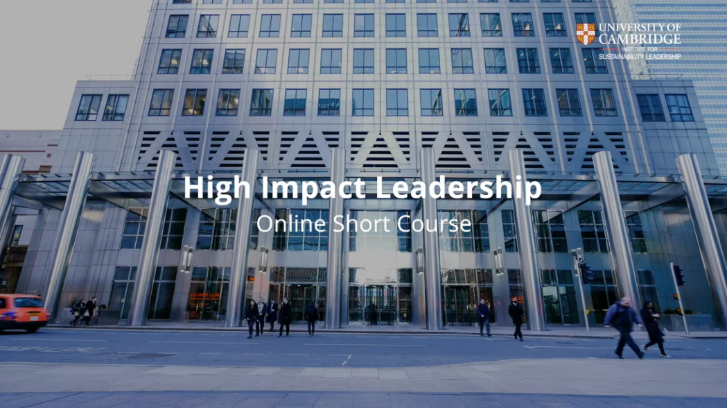 Leading Sustainability: High Impact Leadership