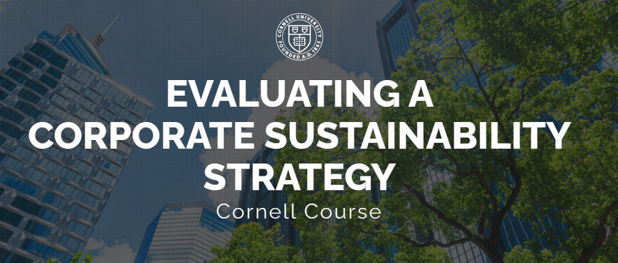 Evaluating a Corporate Sustainability Strategy