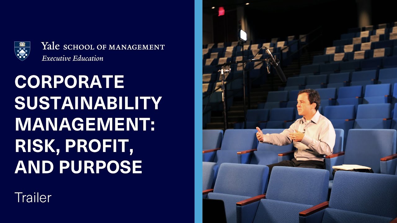 Corporate Sustainability Management: Risk, Profit, and Purpose Online Short Course