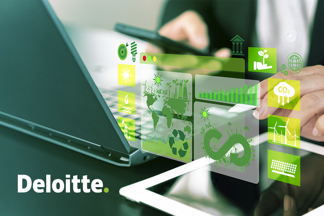 Deep-Dive into Sustainability Reporting