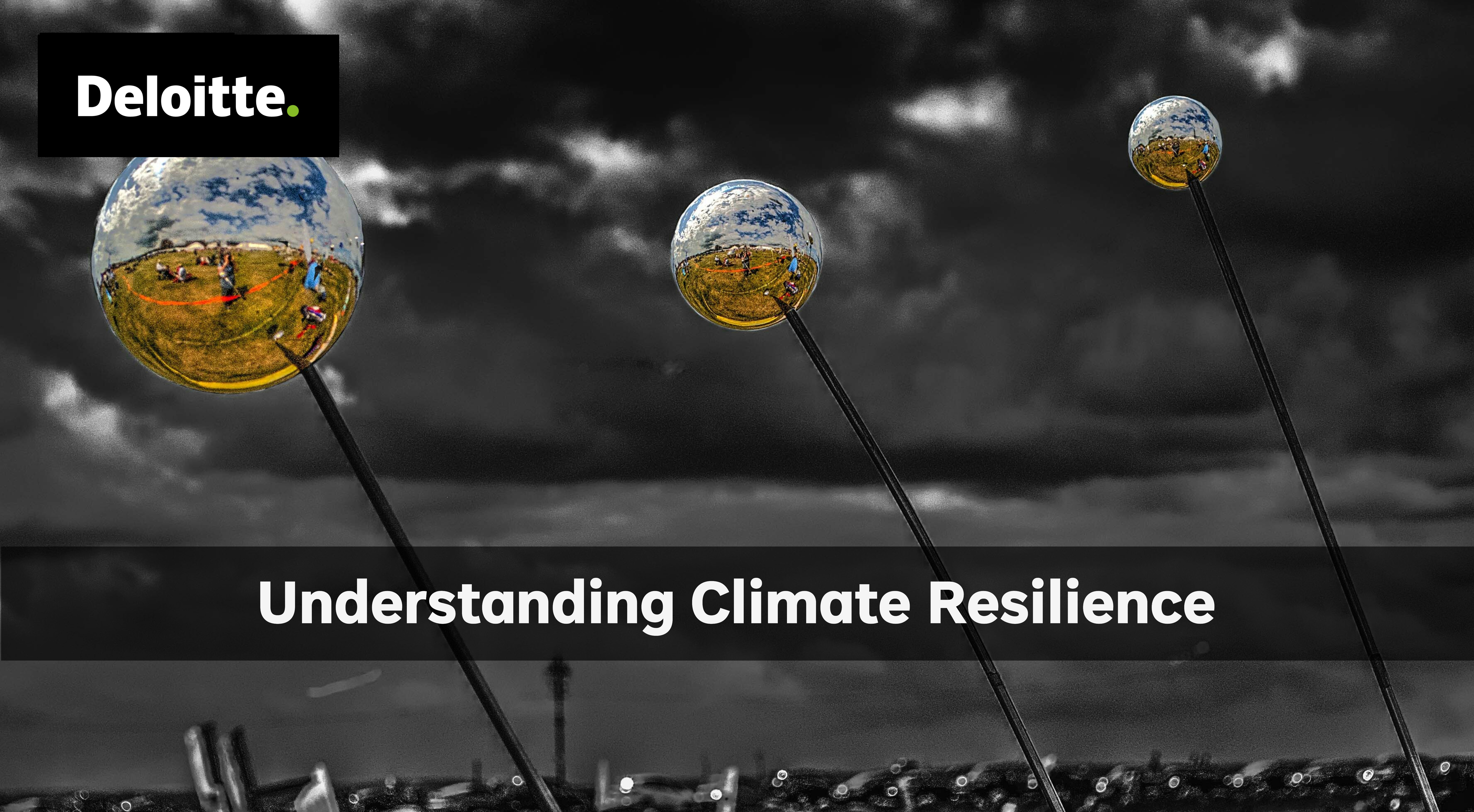Understanding Climate Resilience