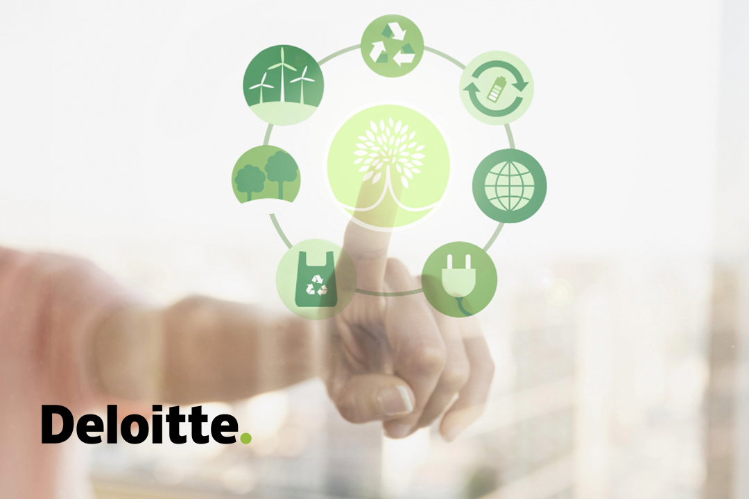 Navigating Carbon Markets: Understanding Carbon Credits, RECs, and Business Opportunities