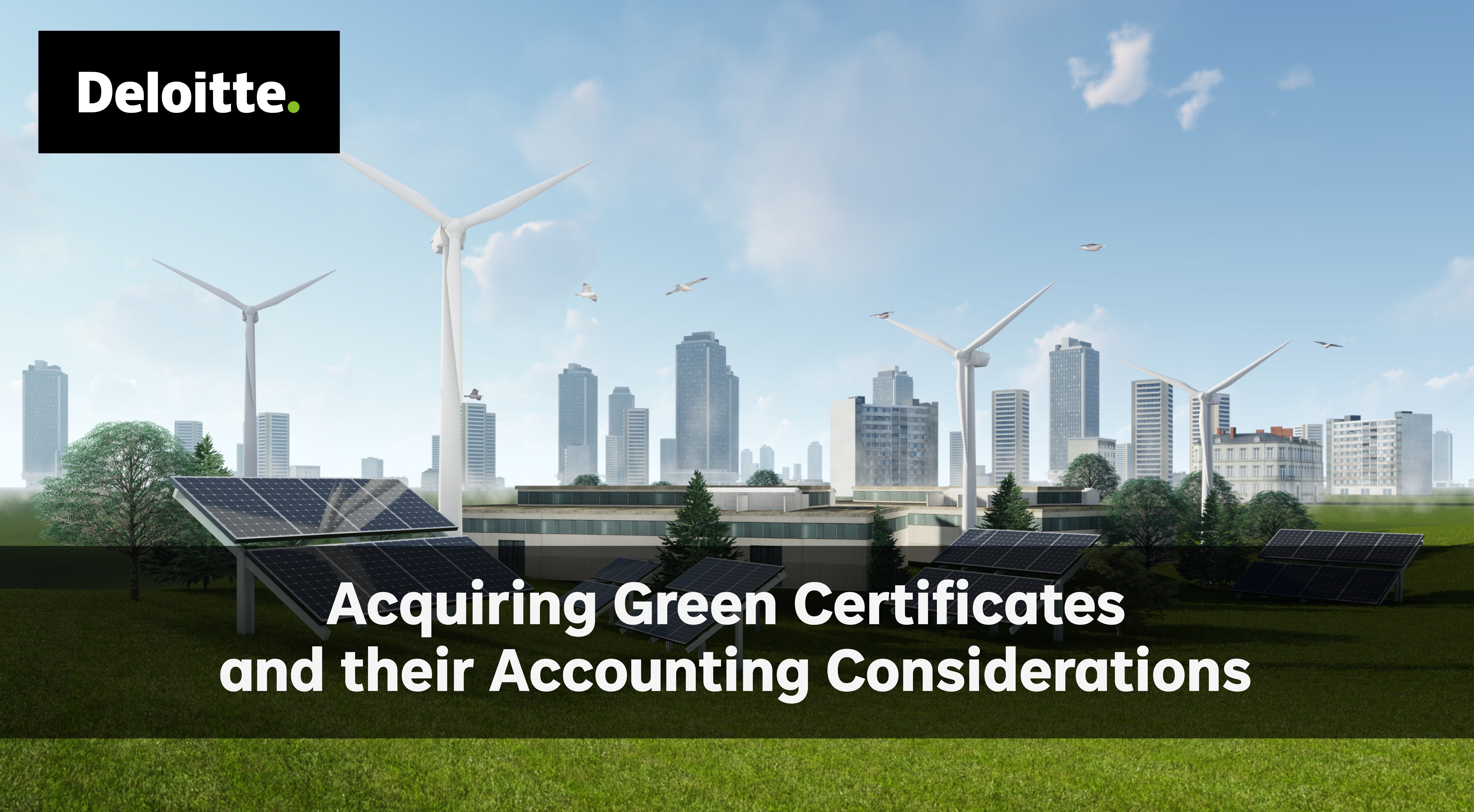 Acquiring Green Certificates and their Accounting Considerations