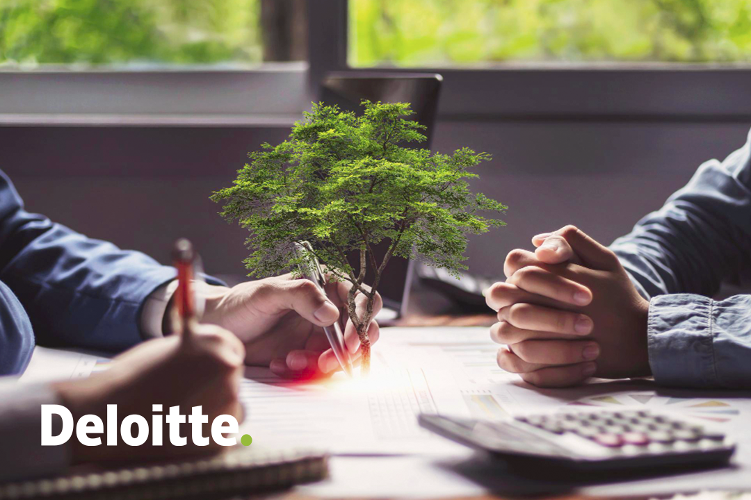 Understanding the Taskforce on Nature-related Financial Disclosures (TNFD)