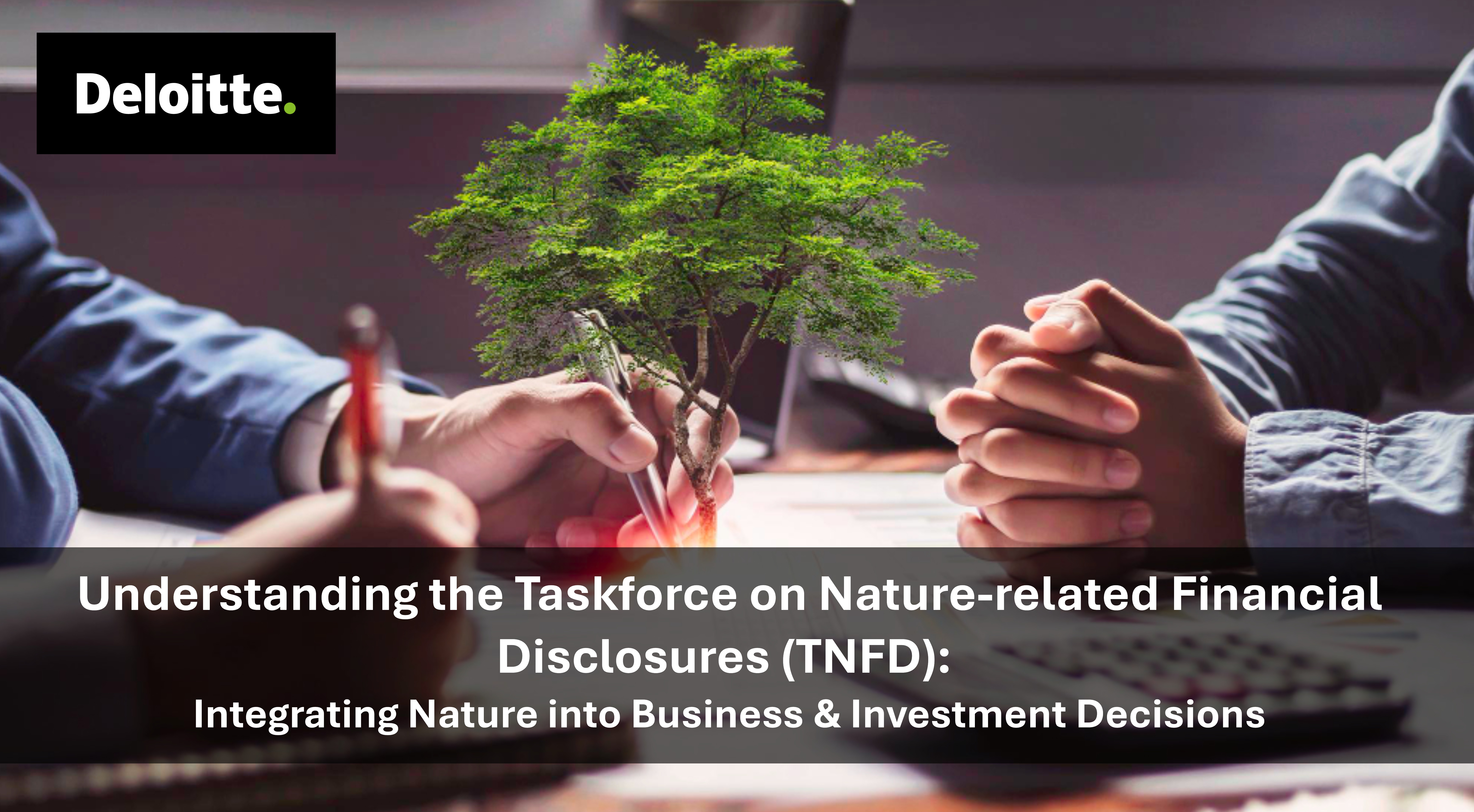 Understanding the Taskforce on Nature-related Financial Disclosures (TNFD)