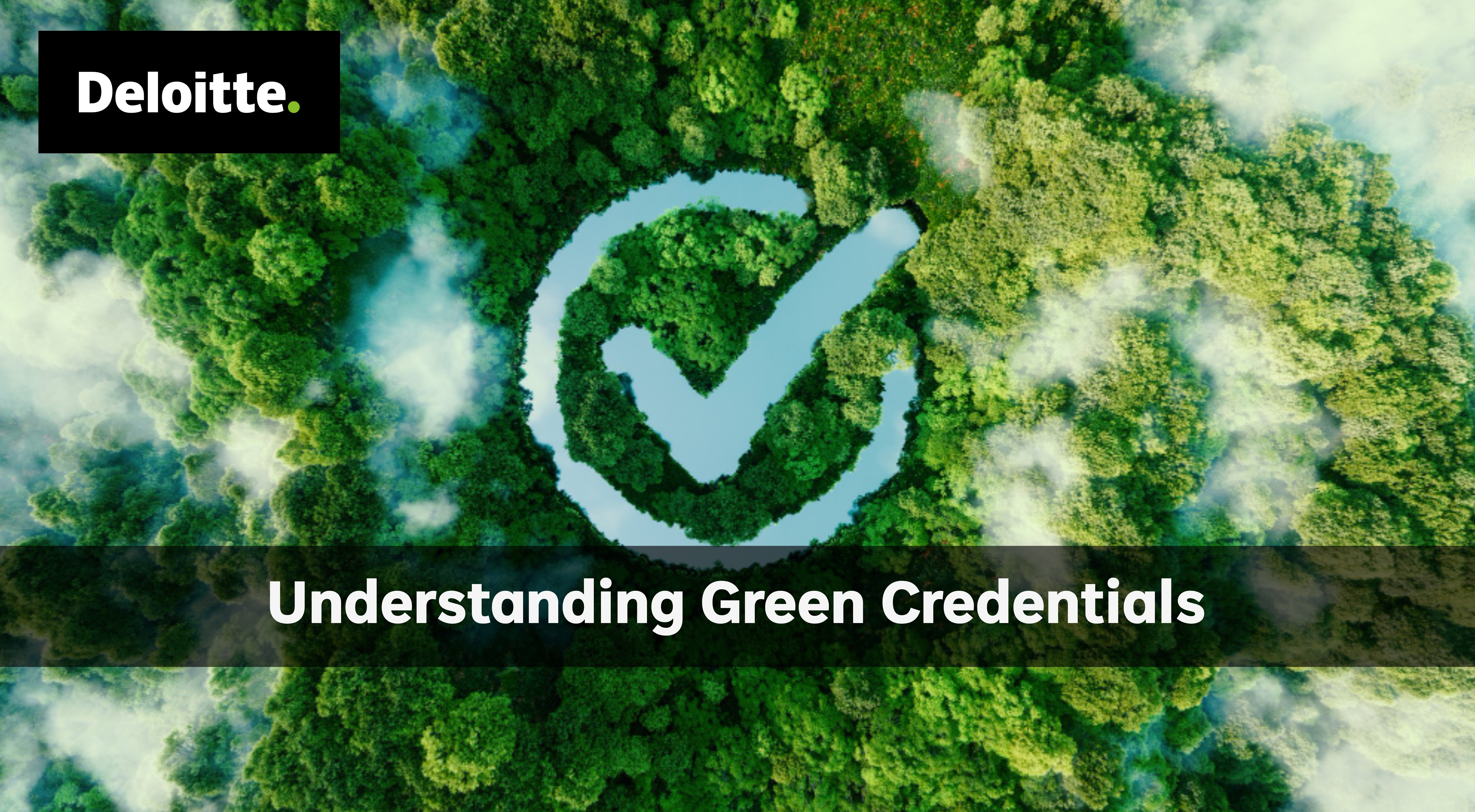 Understanding Green Credentials