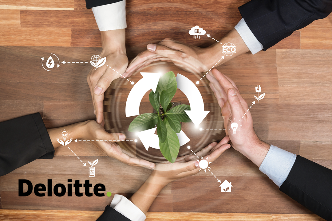 Sustainable Procurement and Green Supply Chain Strategies