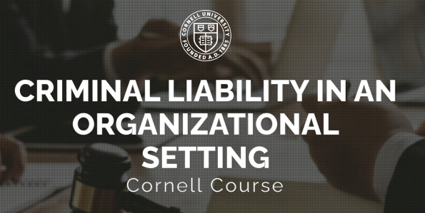 Criminal Liability in an Organisational Setting
