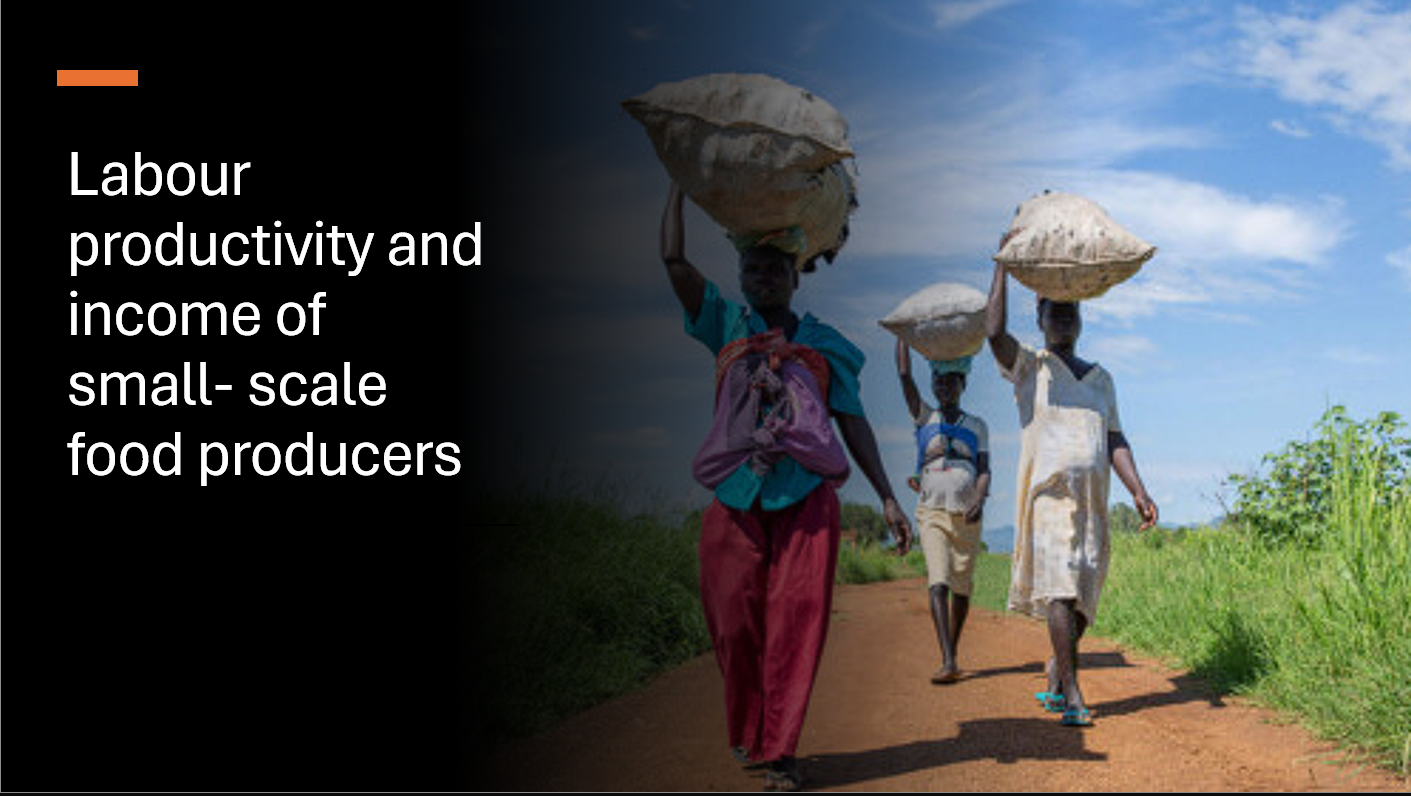 Labour productivity and income of small-scale food producers