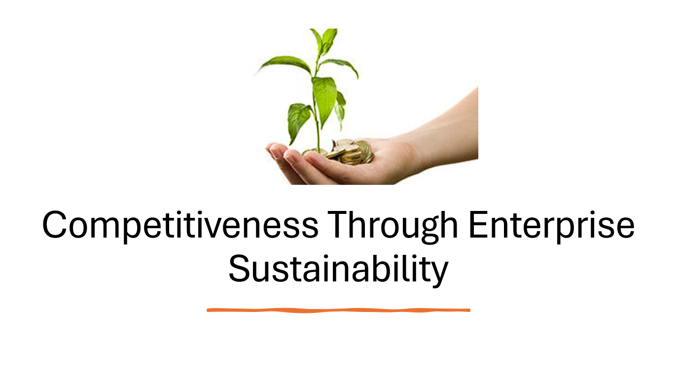 Competitiveness Through Enterprise Sustainability