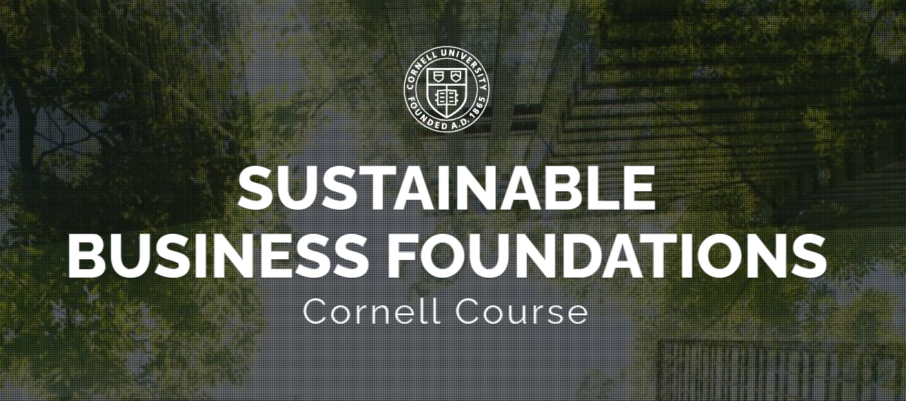 Sustainable Business Foundations