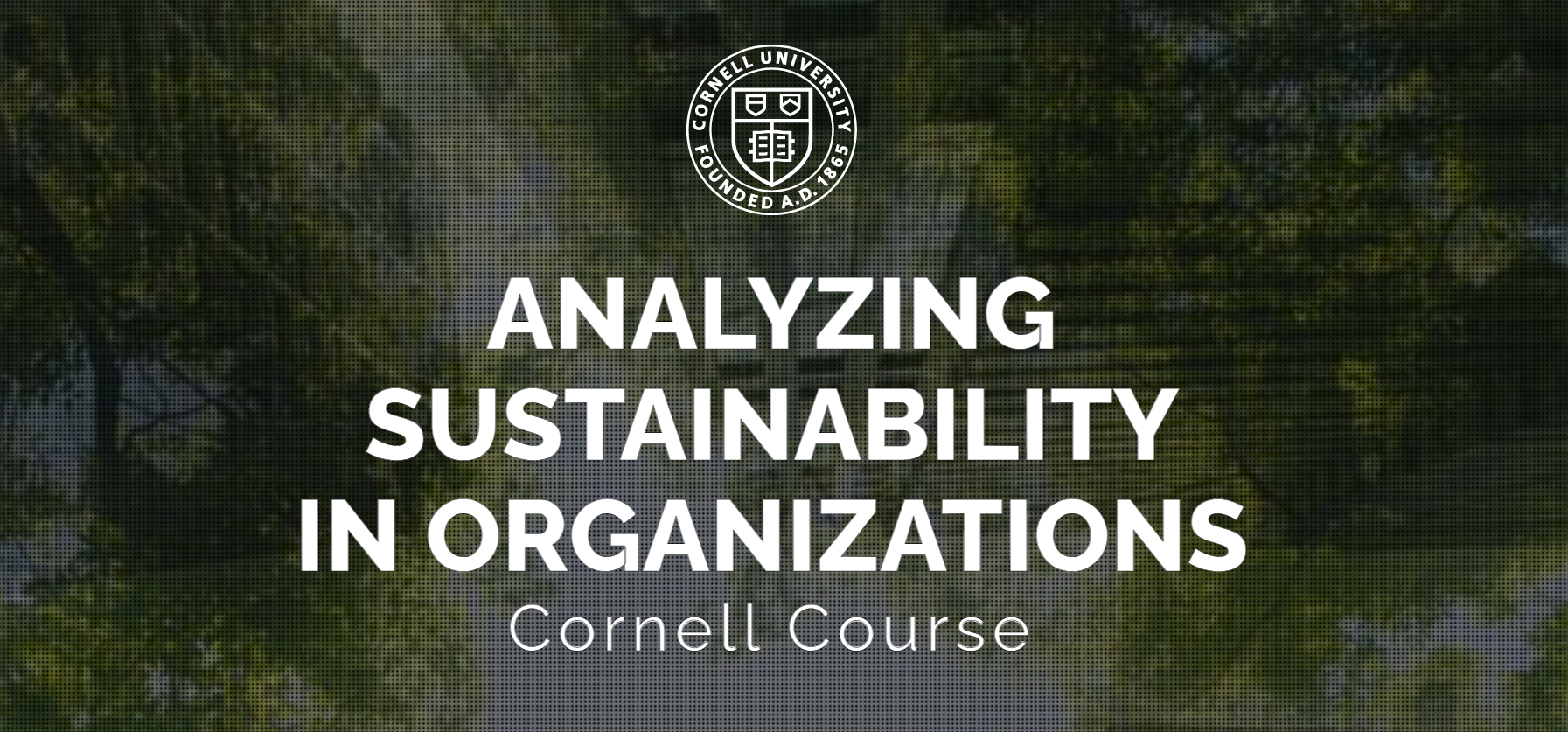 Analysing Sustainability in Organisations