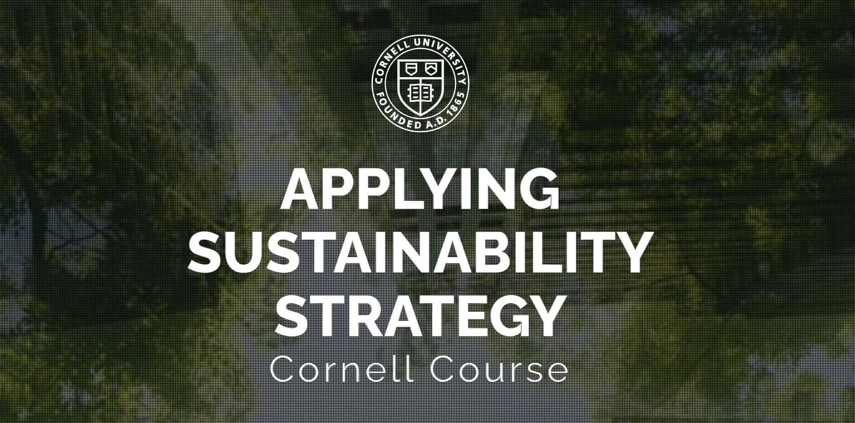 Applying Sustainability Strategy 