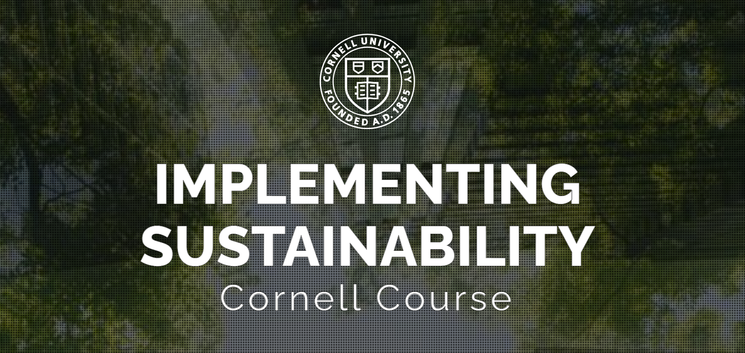 Implementing Sustainability 