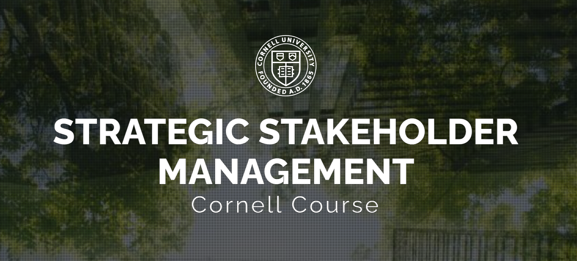 Strategic Stakeholder Management